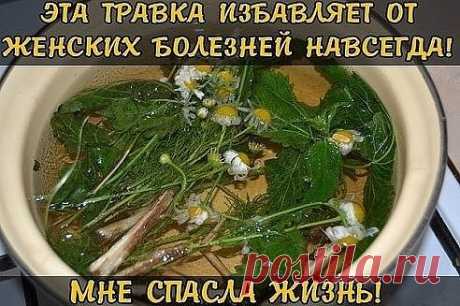 (10) Одноклассники