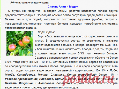 Яблони: самые сладкие сорта - Сады Сибири