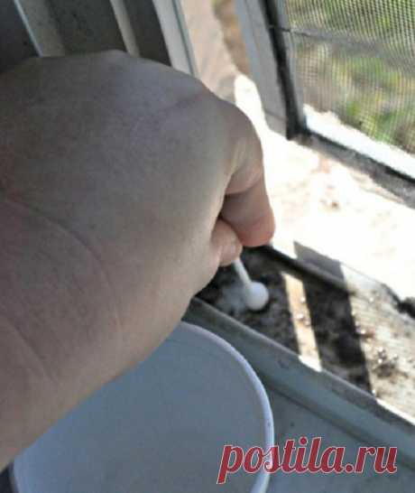 Научись быстро мыть окна с этим простым трюком!