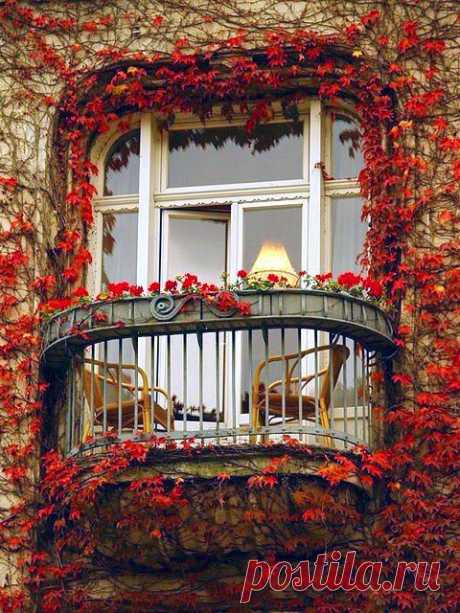 Ivy Balcony, Paris ᘡղbᘠ