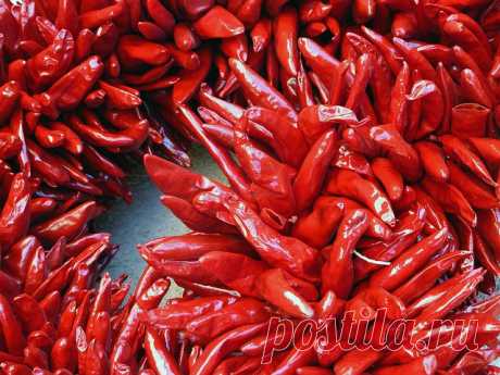Сушеный красный перец острый - простой рецепт наших бабушек как сушить горький перец в домашних условиях. » Сусеки