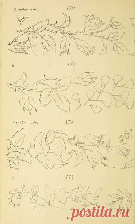 Шаблоны для вышивки и росписи. Альбом, изданный в Нью-Йорке в 1882 году.