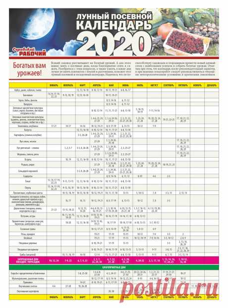 Лунный календарь 2020 садовода-огородника Урала (посевной) | Мамины шпаргалочки