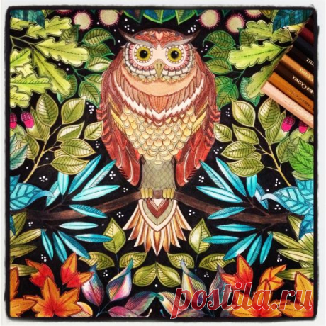 Johanna Basford | Colouring Gallery