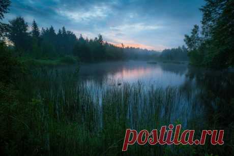 Тихое утро на лесном озере, Могилёвский район, Беларусь. Автор фото — Михаил Копычко: