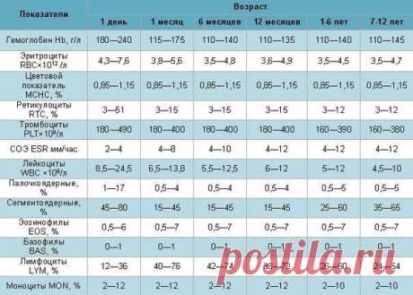 О чем может рассказать общий анализ крови у ребенка | Хитрости жизни