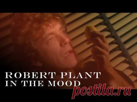 Robert Plant - In the Mood (Official Video) [HD REMASTERED]