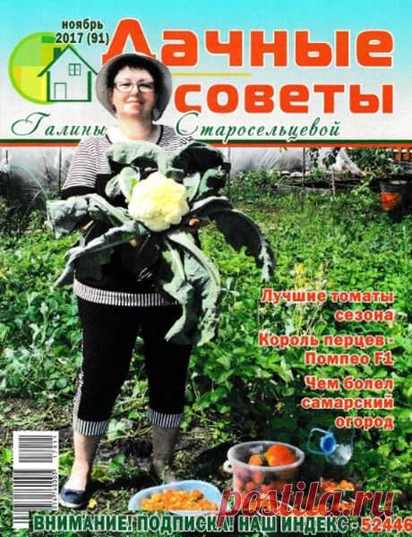 Дачные советы Галины Старосельцевой (№11 2017) Читать и скачать журналы онлайн