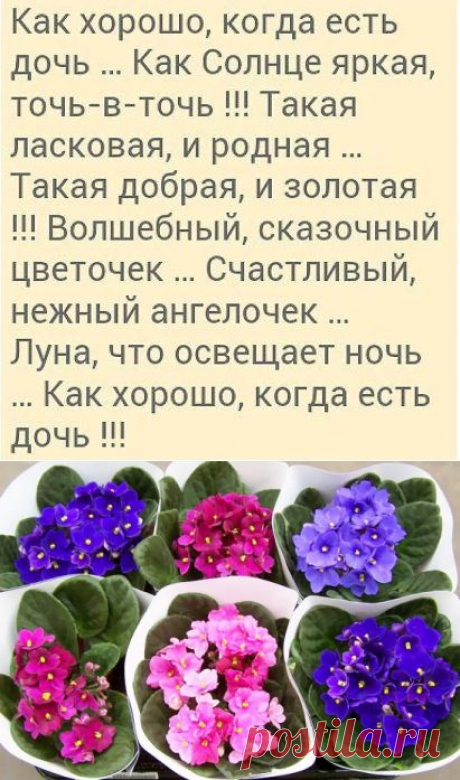 (62) Одноклассники