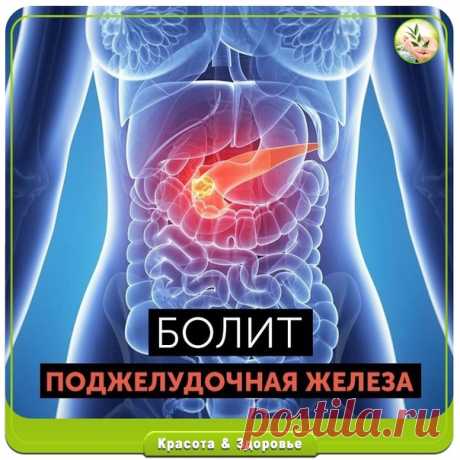 ПОЛЕЗНЫЕ СОВЕТЫ :
Сохраните, чтобы не потерять.

СОВЕТ 1 : ЛЕЧЕНИЕ ПОДЖЕЛУДОЧНОЙ ЖЕЛЕЗЫ НАРОДНЫМИ МЕТОДАМИ

То, чего не расскажет ни один врач!
Поджелудочная железа — один из важных внутренних органов
человеческого тела, который отвечает за наше пищеварение. Сбой в работе поджелудочной чреват осложнениями и целым рядом заболеваний, таких как панкреатит или сахарный диабет. К счастью, есть прекрасные народные средства, которые помогают лечить этот орган не хуже лекарств. Ес...