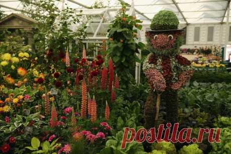 Выставка цветов «Chelsea Flower Show 2014» - Фото - Калейдоскоп Эмоций