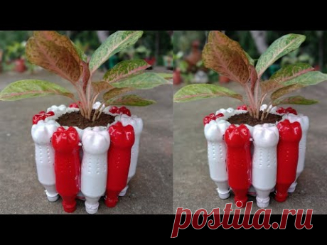 Spesial Kemerdekaan Indonesia || Pot Bunga Botol Bekas Merah Putih