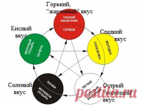 Связь пяти элементов энергетической системы тела, вкуса пищи | ЕСТЬ РЕШЕНИЕ8