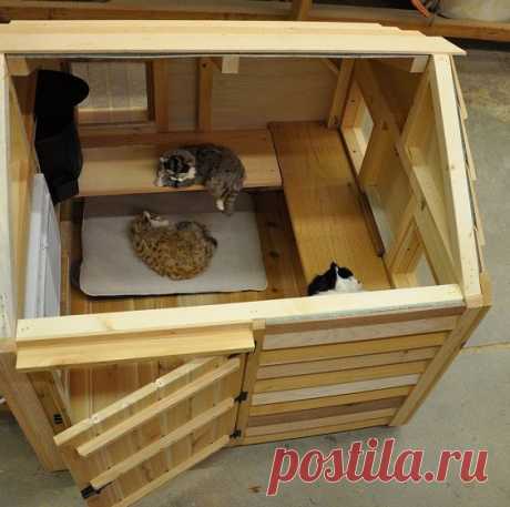 Пин содержит это изображение: Home Decor- cat houses ideas- cat house decorations