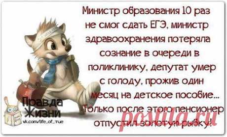 ёжик НЕ ГОЛОСУЮ!!! Надоело и есть чем заняться..что приносит доход!!!: Чтоб тебе всегда фартило! На работе, в казино! Чтобы утром не мутило И не кончилось бабло МОЁ ПОЗДРАВЛЕНИЕ НА НОВЫЙ ГОД!!!! (^)(d)\o/(music)(sun)(cash)(heart)(F)(coffee)