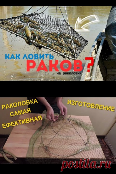 (10) С этими советами ты наловишь мешок раков👍! Как ловить раков на раколовки? - YouTube