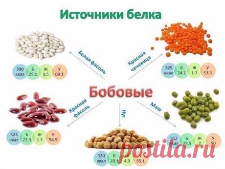 Нужно знать каждому, кто занимается спортом