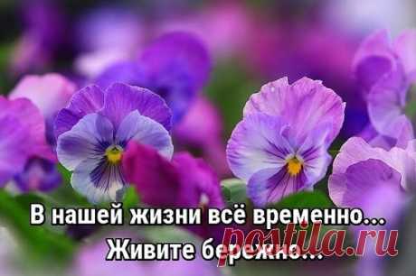 Знай, у каждого разное «больно»,
Знай, у каждого разное «страшно».
Не суди со своей колокольни
Неизвестносколькоэтажной.
Не очерчивай взглядом границы,
Не придумывай мозгом пределы.
Что тебе в страшном сне не приснится,
Для кого-то – обычное дело.
Знай, у каждого разное «надо»,
Знай, у каждого разное «сложно».
Впрочем, и представление ада
Обобщить и сравнить невозможно.
Знай, что правда бывает другая,
А не та, что приносят на блюде.
Присмотрись к тем, чьи судьбы пугают,
Это – самые сильные лю