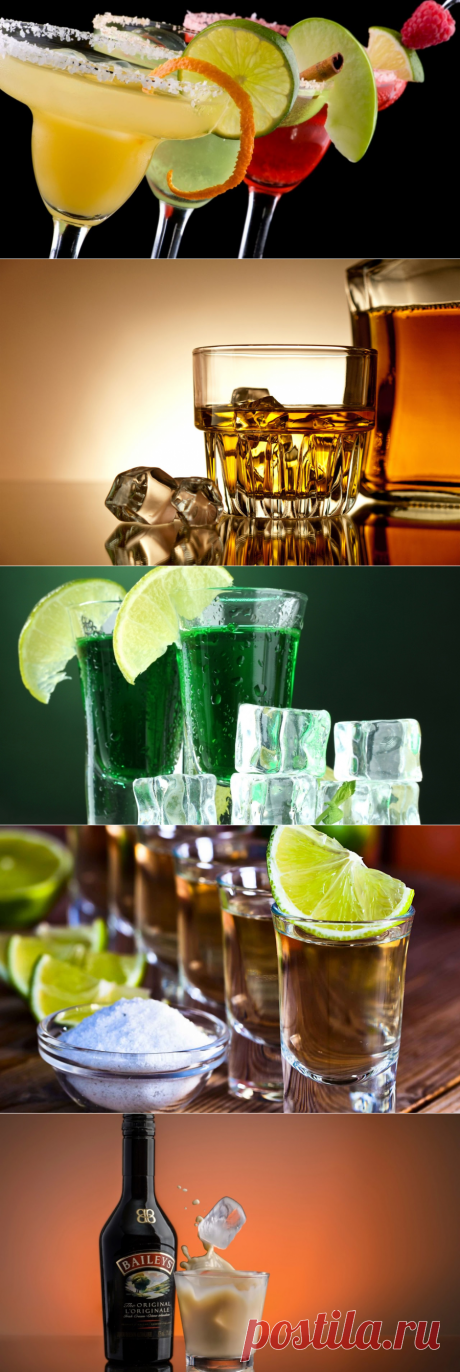 Учимся правильно пить различные виды алкоголя