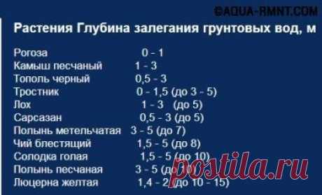 Как найти воду для скважины - 6 эффективных методов поиска