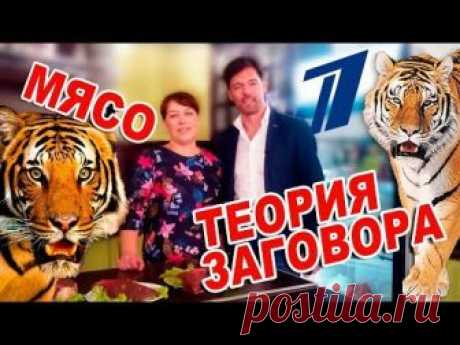 ТИГРАМ НЕ ДОКЛАДЫВАЮТ МЯСО! Михаил Мамаев, Теория заговора.