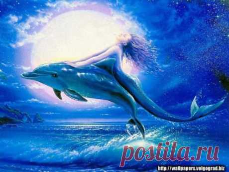 Фото Дельфин и русалка, сюжет этой песни твоя подсказала гитара. Дельфин и русалка - они, если честно, не пара, не пара, не пара., страница