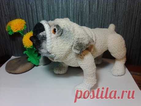 Английский бульдог,ч.2.  English Bulldog, р.2.   Amigurumi. Crochet.  Игрушки крючком.