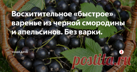 Восхитительное «быстрое» варенье из черной смородины и апельсинов. Без варки.  Гости будут выпрашивать рецепт, я вам гарантирую. Знаете, почему? Потому что я сама выпросила у подруги – зашла как-то в гости повидаться, а она меня чаем угостила с таким вот экзотическим вареньицем. При этом сама она вообще далека от дачных дел, всяких закруток на зиму и всяких припасов. Все, что у нее есть – дает ей ее мама. Короче, я убедила Людку позвонить маме при мне и спросить рецепт.