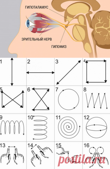 8 шагов к улучшению и восстановлению зрения / Будьте здоровы