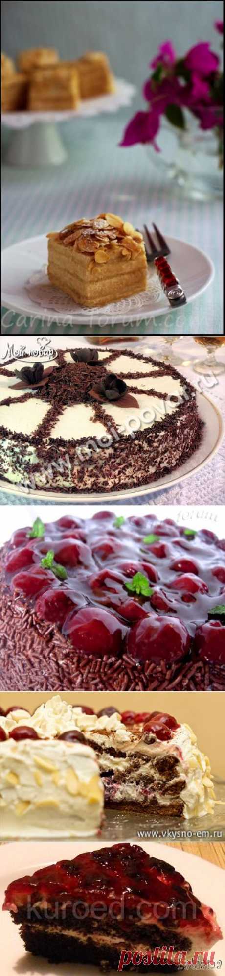 шоколадный торт с вишней - Самое интересное в блогах