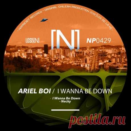 Ariel Boi – I Wanna Be Down [NP0429] - DJ-Source.com