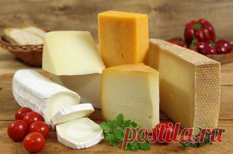 Как правильно хранить сыр, чтобы он долго оставался свежим и вкусным