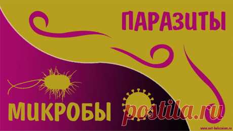 Что такое микробы и чем они отличаются от паразитов? 

Паразиты - это категория организмов различных групп, общей чертой которых является паразитизм!

Таким образом, эти организмы живут за счёт других организмов, используя для жизнедеятельности питательные вещества, ткани и кровь хозяина.