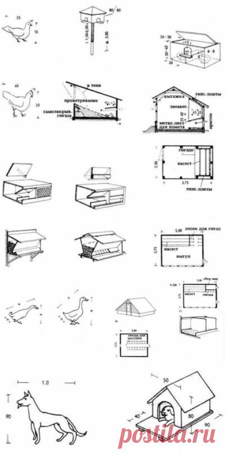 ПОМЕЩЕНИЯ ДЛЯ ПТИЦЫ И МЕЛКОГО ДОМАШНЕГО СКОТА | Архитектура и Проектирование | Справочник