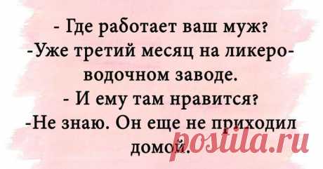 Подборка «весёлых картинок» для позитива «Воскресенье – радостный день», помните? Впрочем, суббота тоже. Так что самое время ознакомиться с нашей подборкой историй, над которыми можно надорвать животики и реально скрасить свой досуг. И если ...