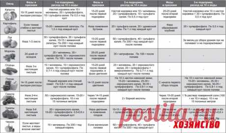 Таблица подкормок овощей по фазам