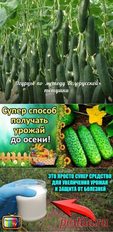 (4) Одноклассники