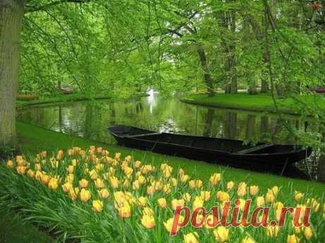Кёкенхоф — всемирно известный королевский парк цветов в Нидерландах
