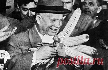 Две заветных мечты Никиты Хрущёва: Кто вдохновил Генсека засеять всю страну кукурузой