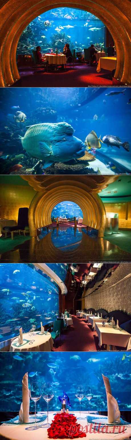 Подводный ресторан в Дубае.