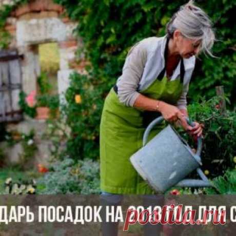 Календарь посадок на 2018 год для Сибири   В 2018 году обновленный календарь посадок понадобится всем садоводам и огородникам России. Не станет исключением и население Сибири – обширного...