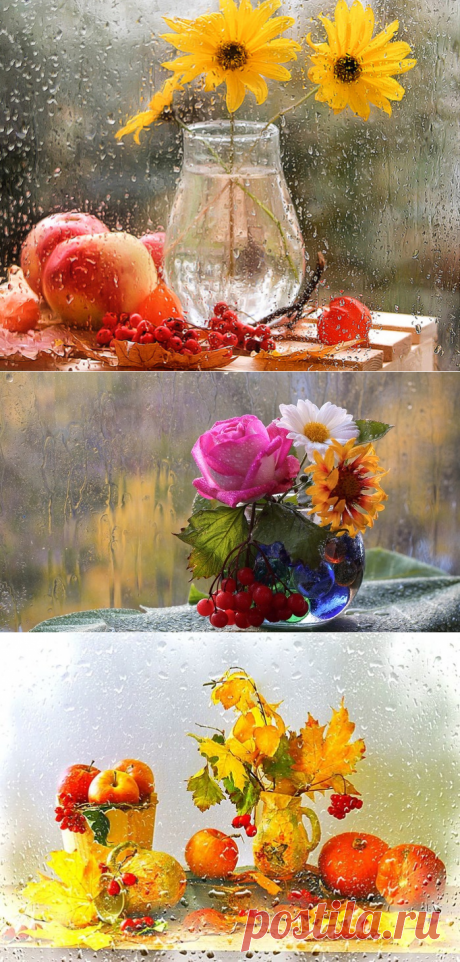 Натюрморты Осенний дождь