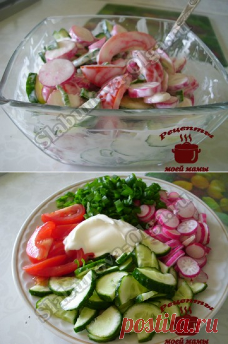 Салат с редиской. Рецепт. Фото