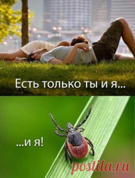 Одноклассники