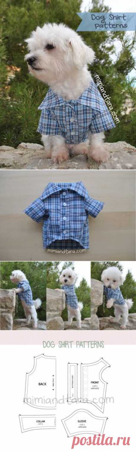 Собака рубашки модели | Мими и Тара | Бесплатный Одежда для собак Модели