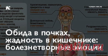 Обида в почках, жадность в кишечнике: болезнетворные эмоции Не грусти, печень!