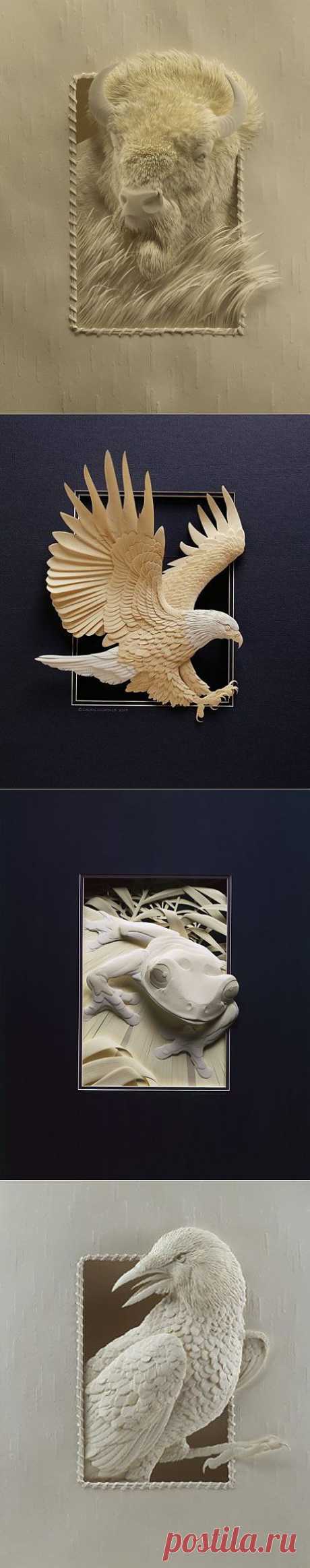 Невероятное оригами Calvin Nicholls