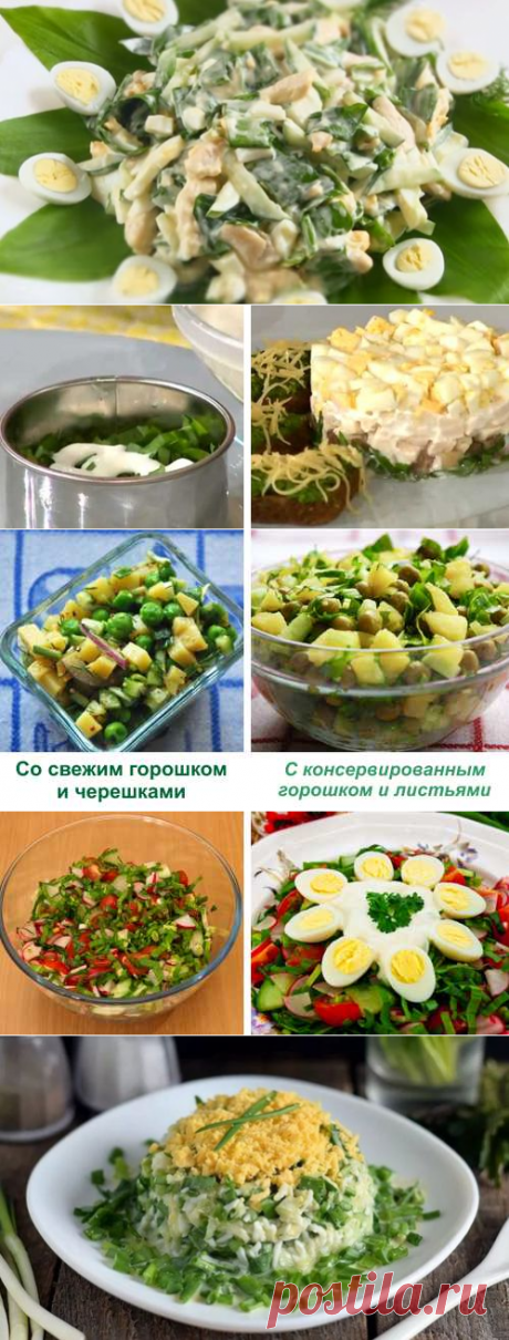 Салат из черемши: ТОП-12 рецептов просто и вкусно