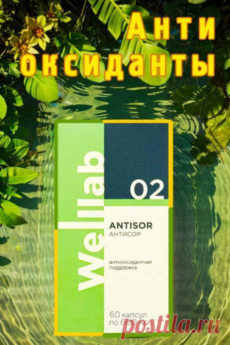 Продукт WELLLAB ANTISOR ACTIVE — антиоксидант широкого спектра действия. 
Элементы антиоксидантного комплекса помогают защитить клеточные мембраны и структуру ДНК от разрушительного воздействия свободных радикалов кислорода, тем самым замедляя процессы старения и предотвращая развитие различных заболеваний.