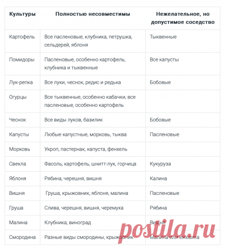 Что с чем нельзя сажать: таблица несовместимости, шпаргалка для садовода | ИДЕИ ВАШЕГО ДОМА | Дзен